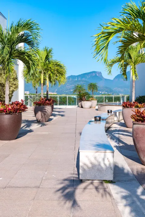 O terraço do prédio, com palmeiras e a montanha ao fundo.